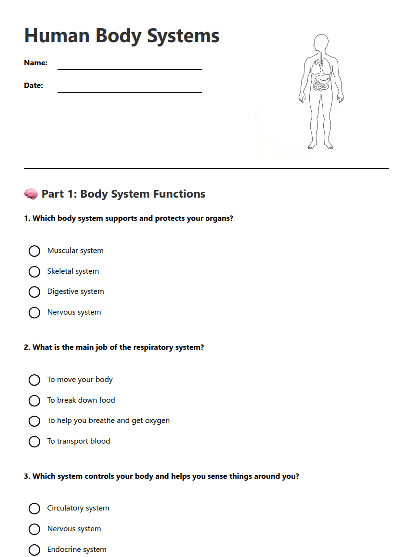 Human Body Systems