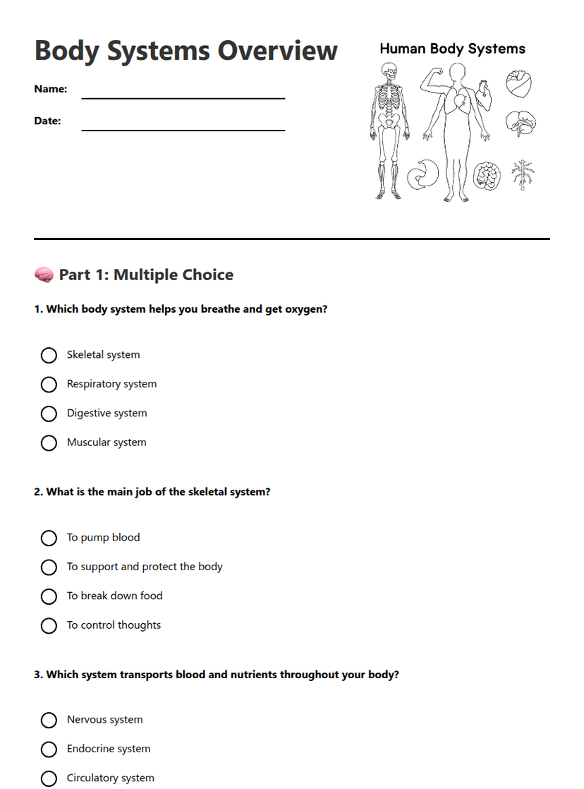 Body Systems Overview
