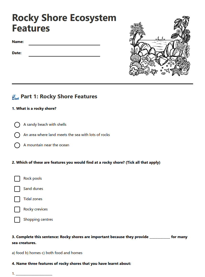 Rocky Shore Ecosystem Features worksheet preview