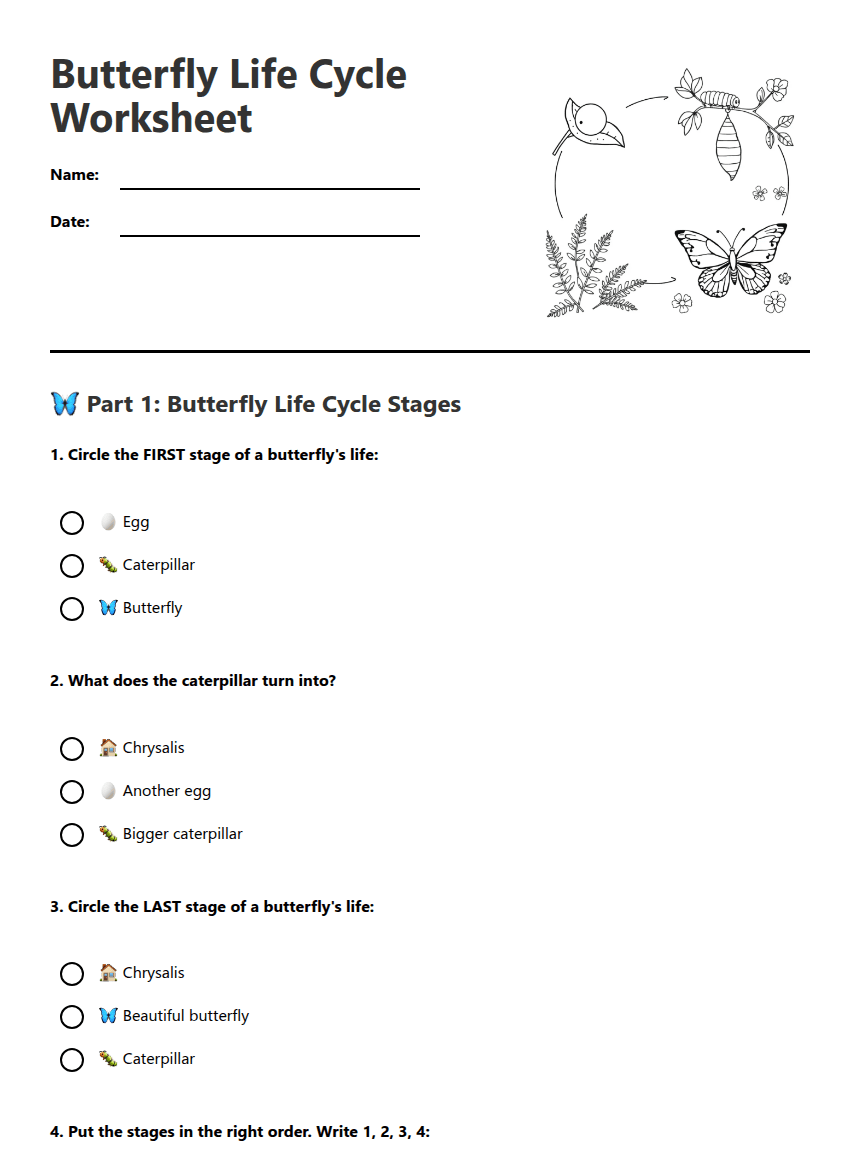 Butterfly Life Cycle Worksheet worksheet preview