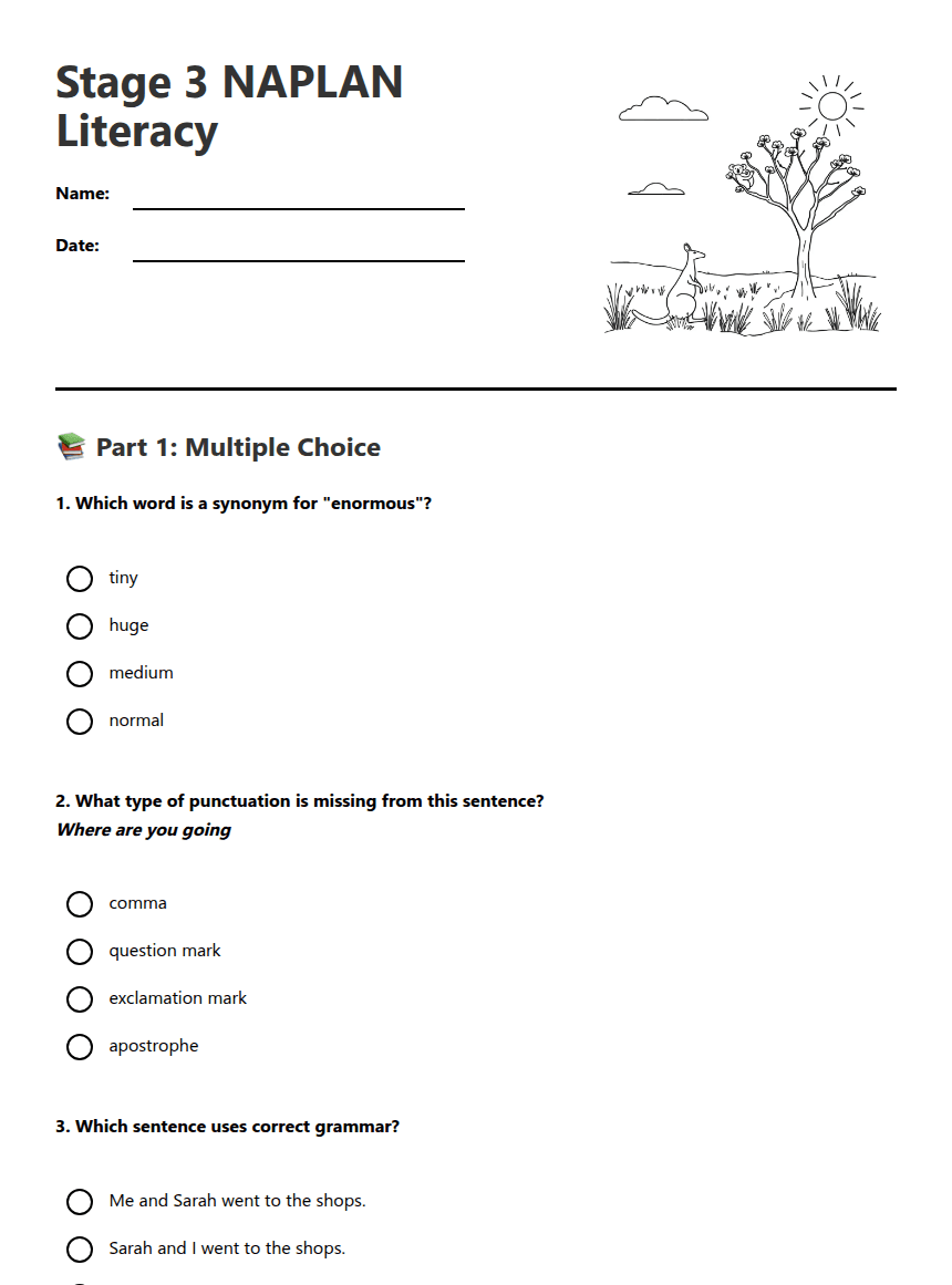 Stage 3 NAPLAN Literacy worksheet preview