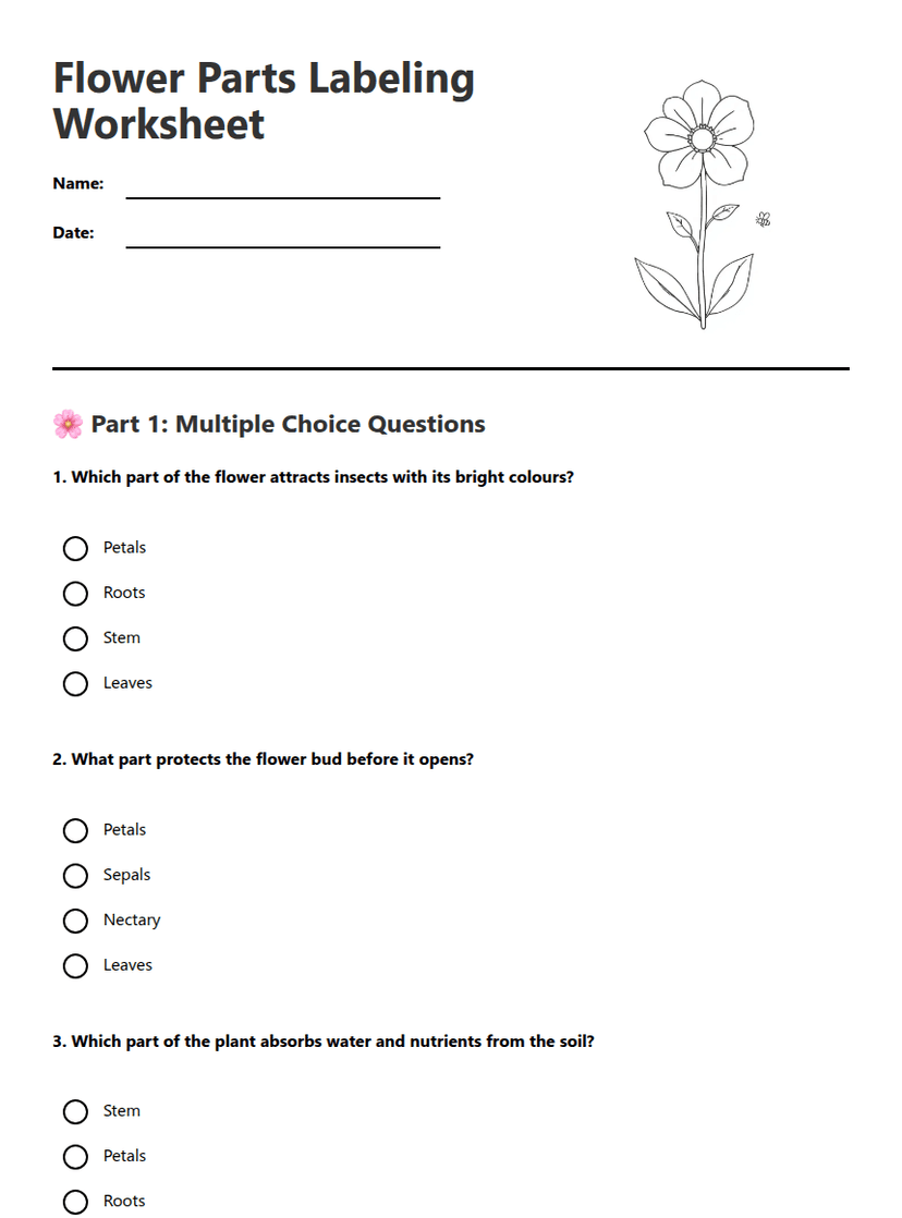 Flower Parts Labeling Worksheet