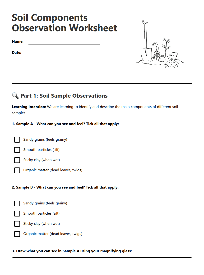 Soil Components Observation Worksheet worksheet preview