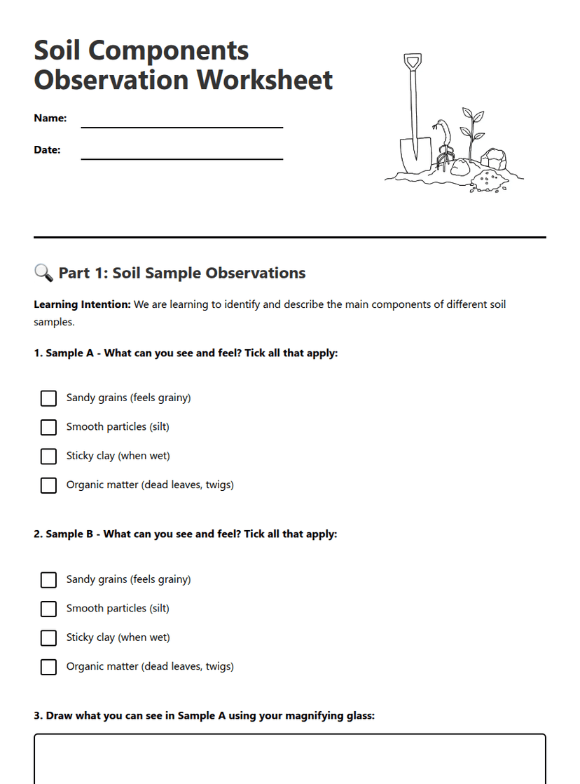 Soil Components Observation Worksheet