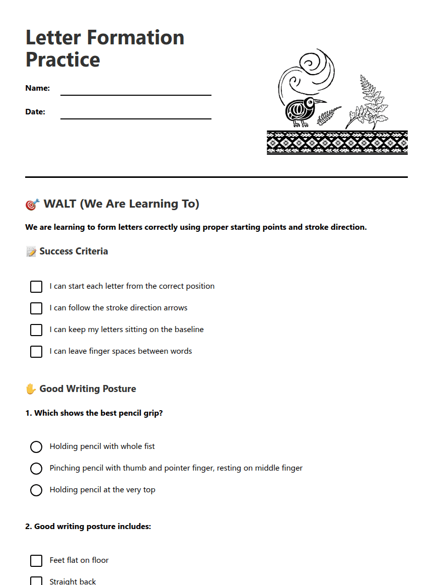 Letter Formation Practice worksheet preview