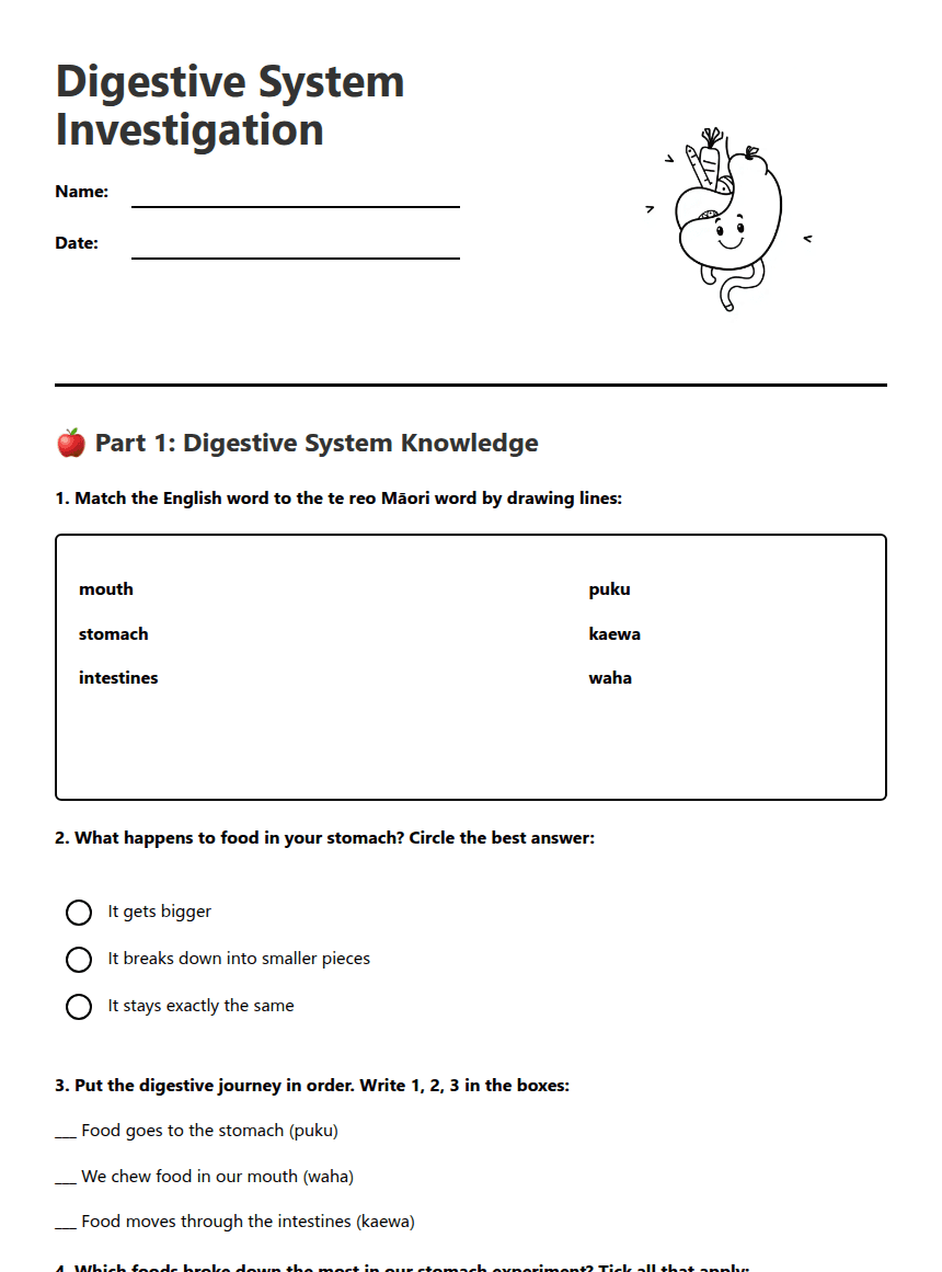 Digestive System Investigation worksheet preview