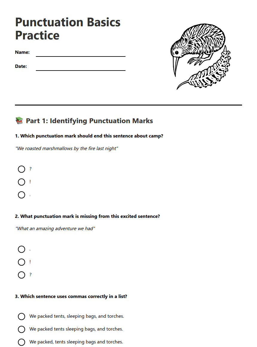 Punctuation Basics Practice worksheet preview