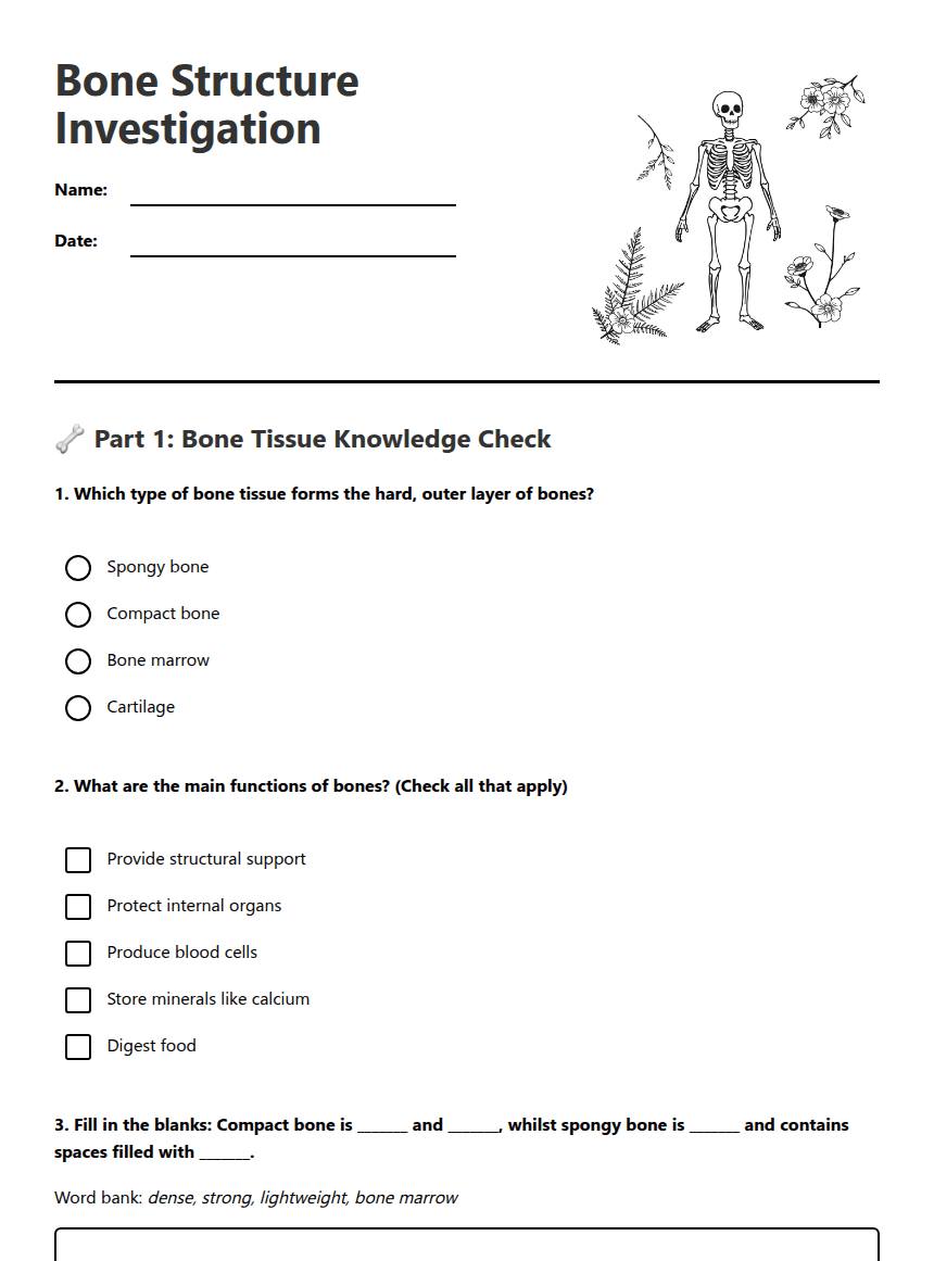 Bone Structure Investigation worksheet preview