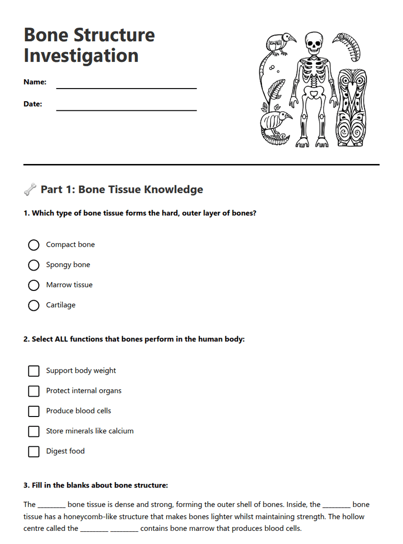 Bone Structure Investigation