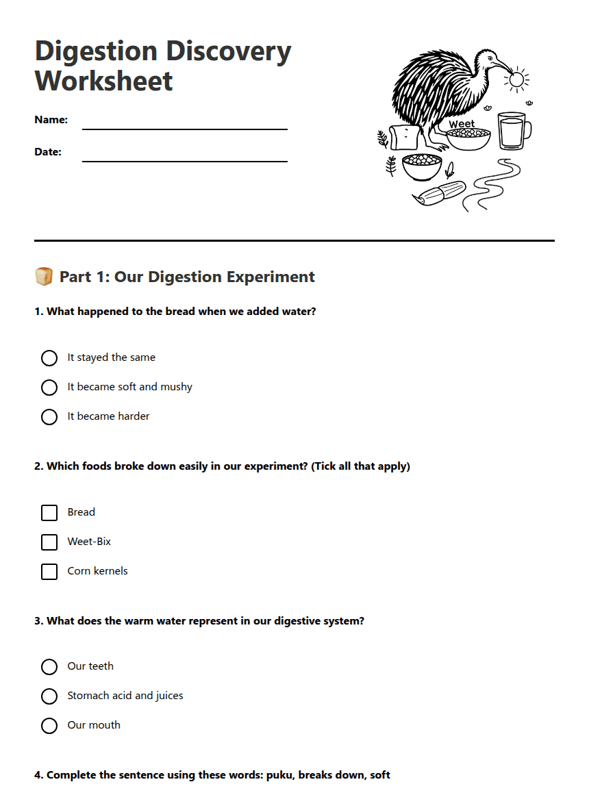 Digestion Discovery Worksheet worksheet preview