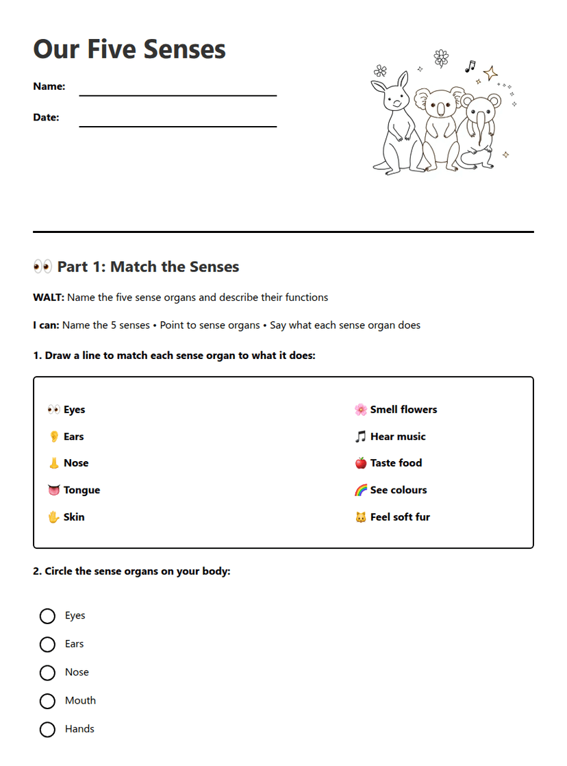 Our Five Senses