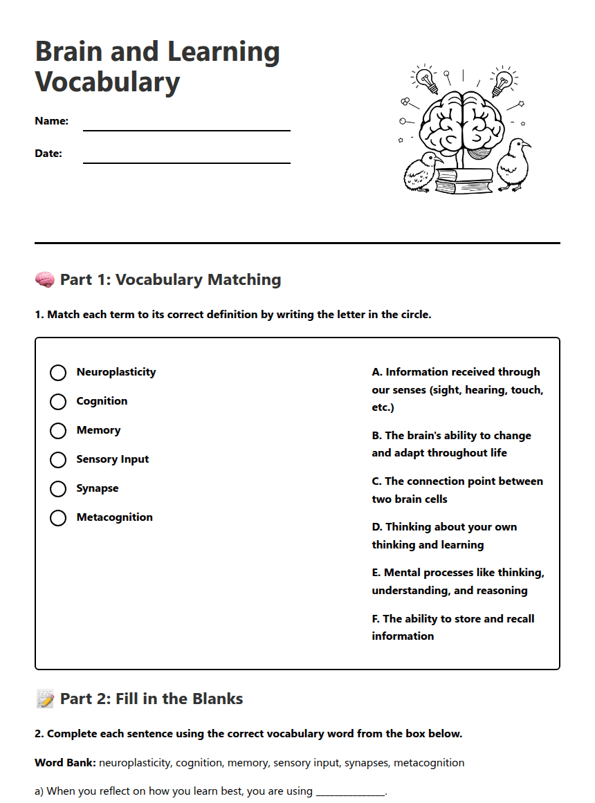 Brain and Learning Vocabulary worksheet preview