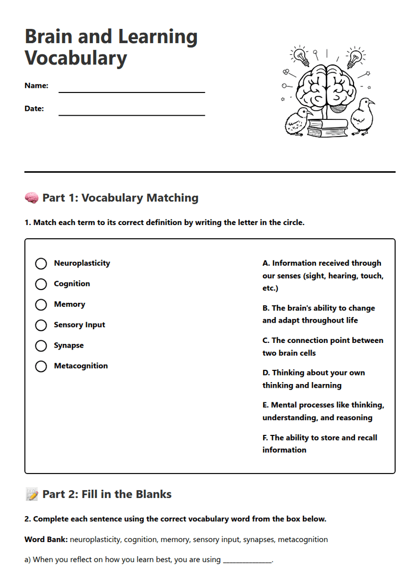 Brain and Learning Vocabulary