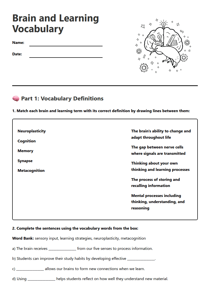 Brain and Learning Vocabulary worksheet preview
