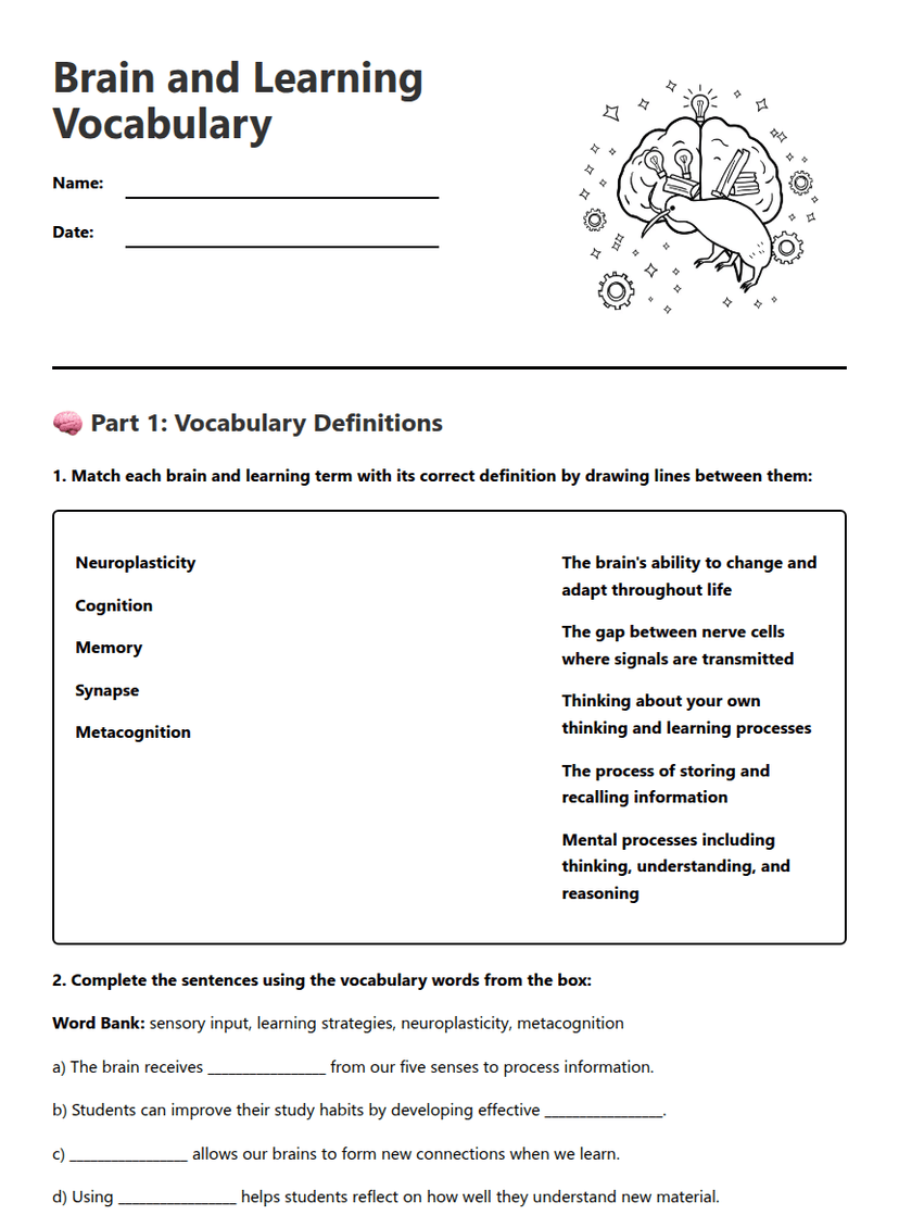 Brain and Learning Vocabulary