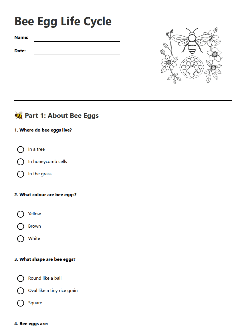 Bee Egg Life Cycle worksheet preview