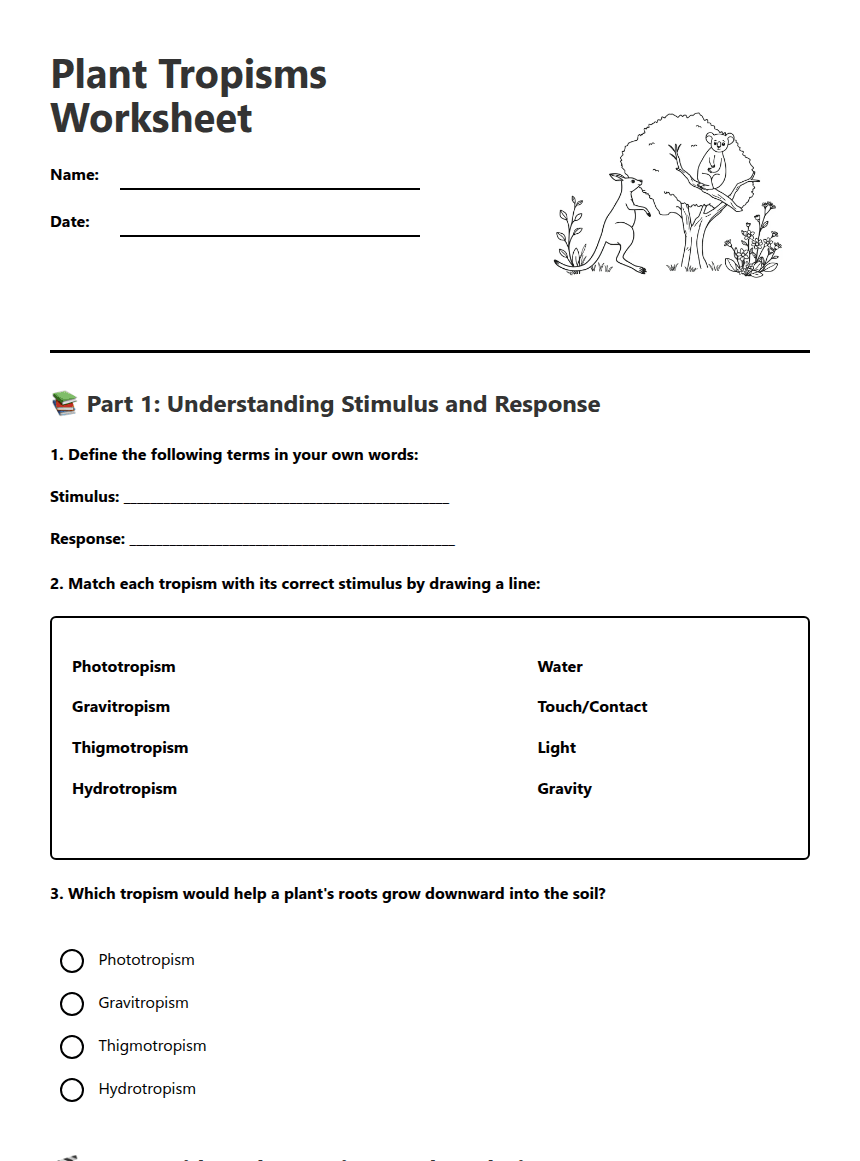 Plant Tropisms Worksheet worksheet preview
