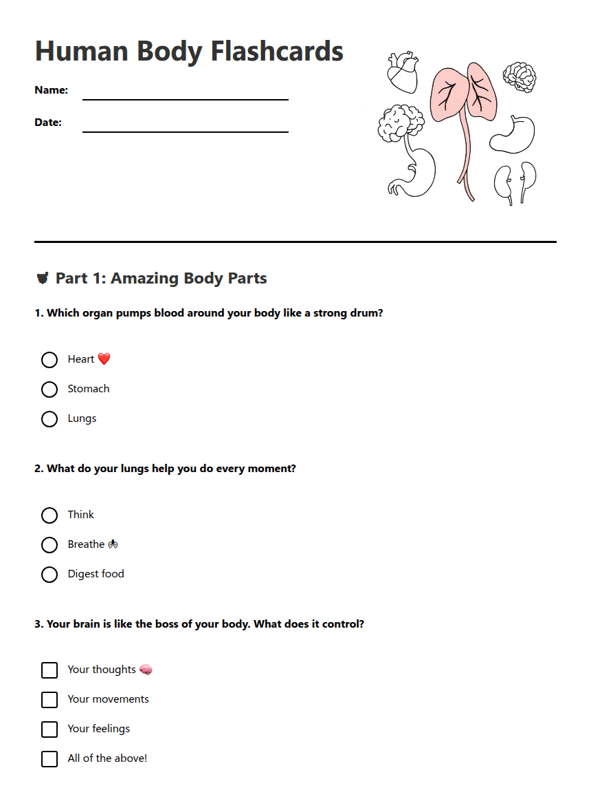Human Body Flashcards worksheet preview