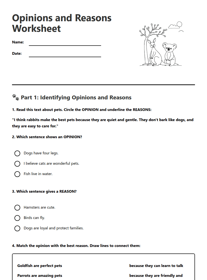 Opinions and Reasons Worksheet worksheet preview