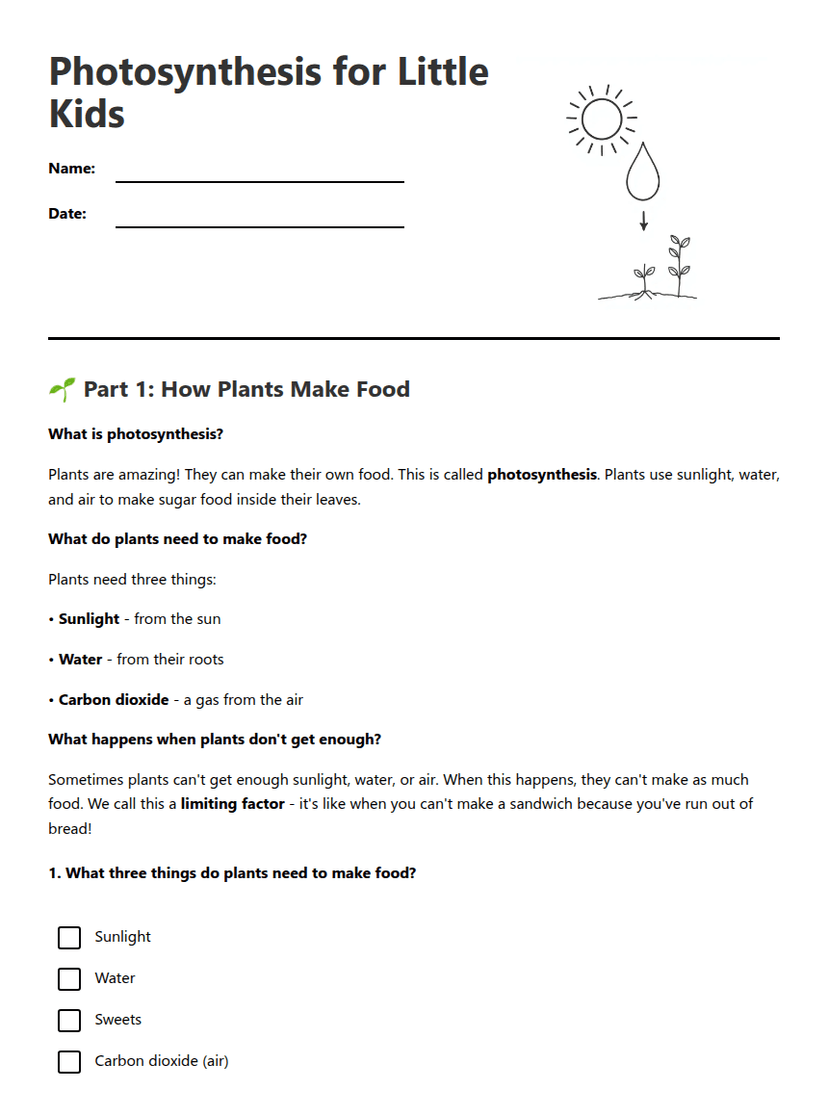 Photosynthesis for Little Kids