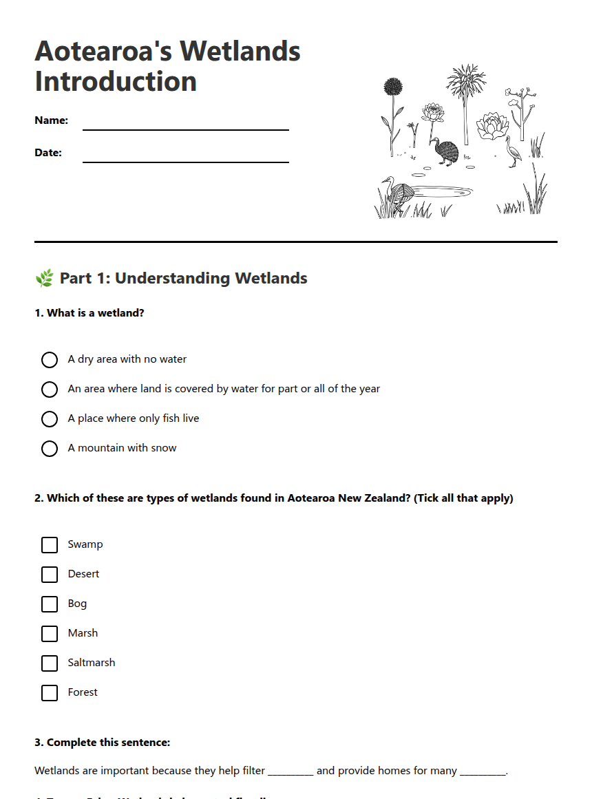 Aotearoa's Wetlands Introduction worksheet preview
