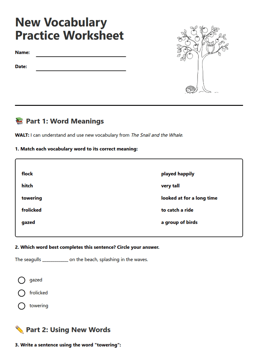 New Vocabulary Practice Worksheet