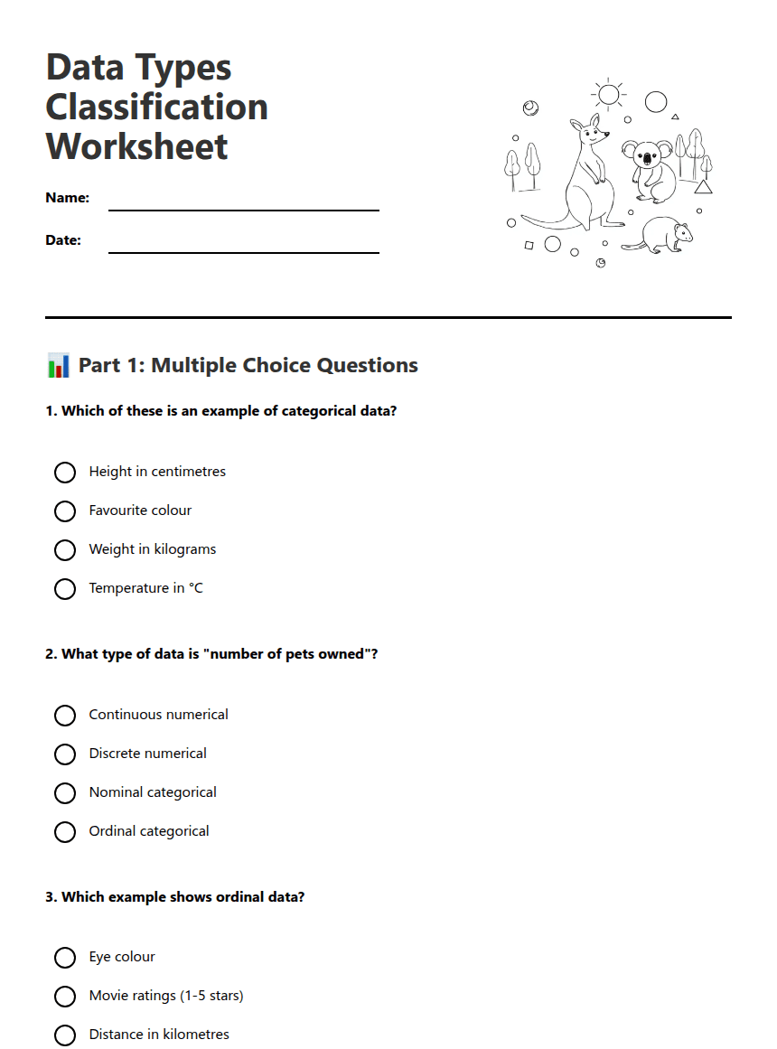 Data Types Classification Worksheet worksheet preview
