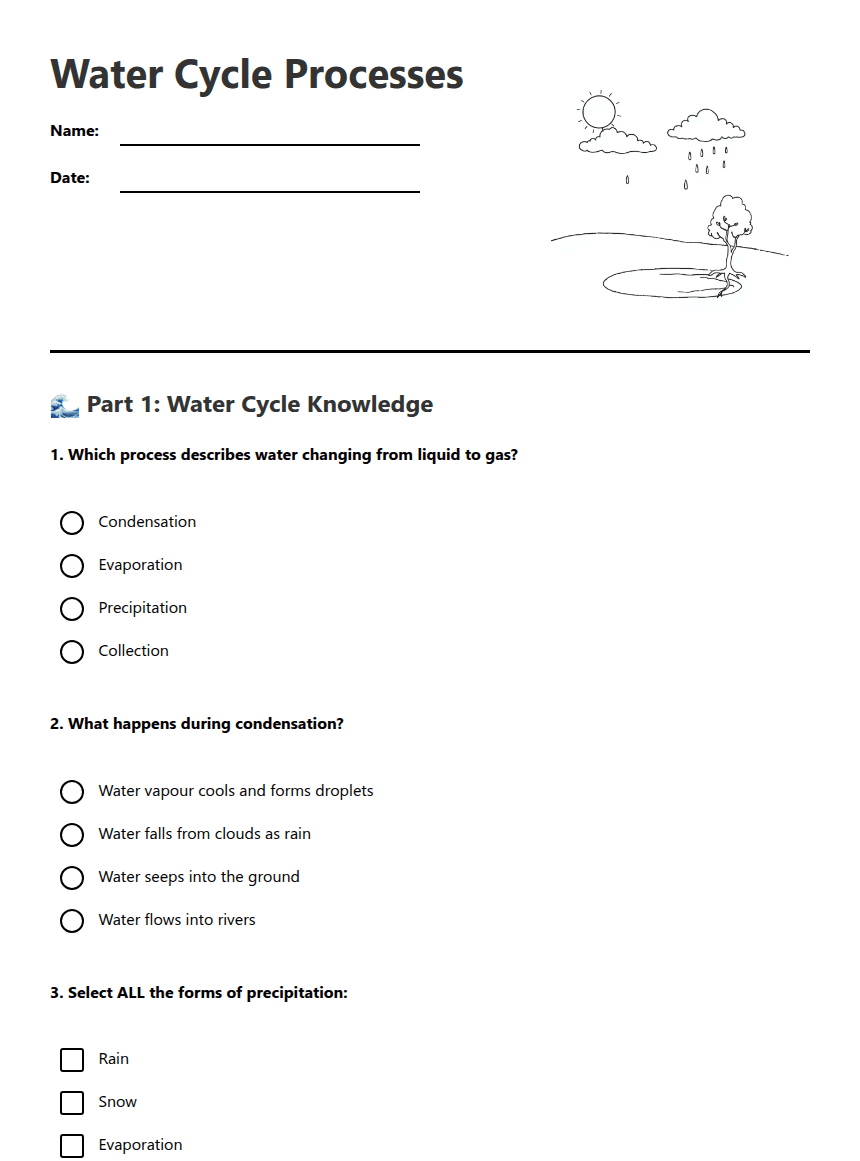 Water Cycle Processes worksheet preview