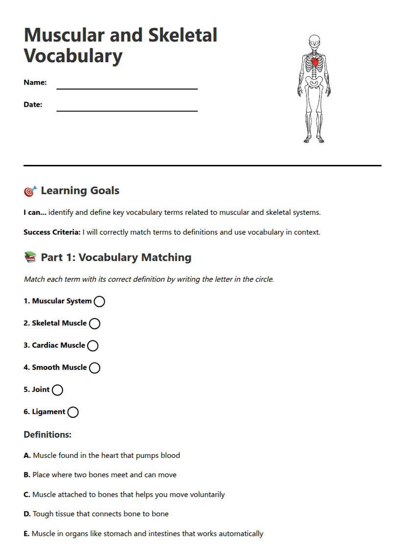 Muscular and Skeletal Vocabulary