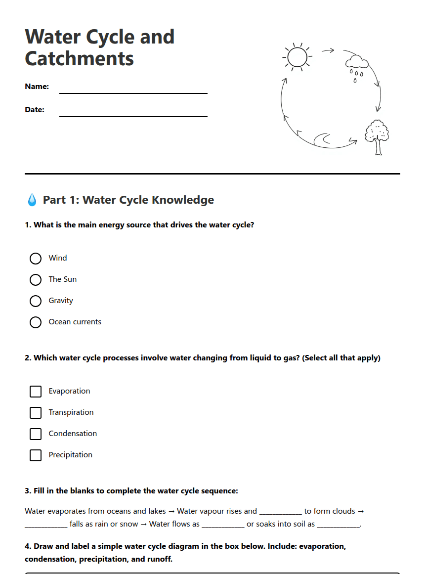 Water Cycle and Catchments worksheet preview