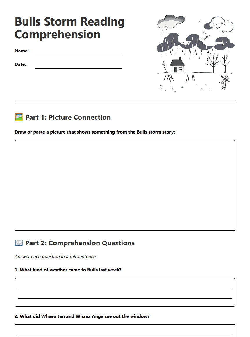 Bulls Storm Reading Comprehension worksheet preview