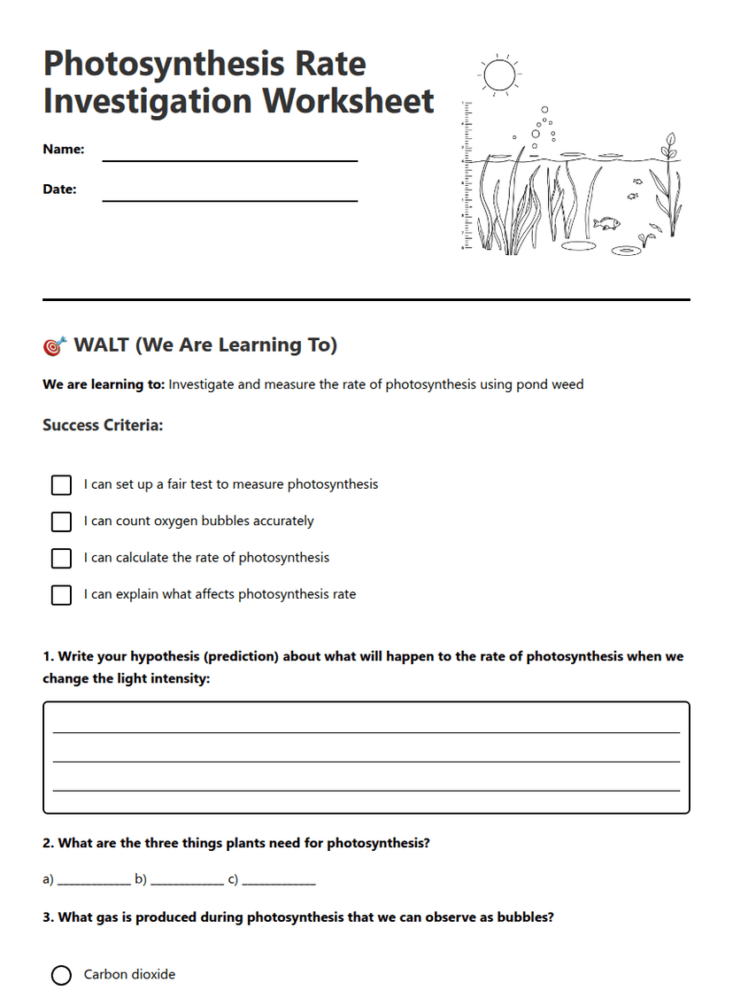Photosynthesis Rate Investigation Worksheet