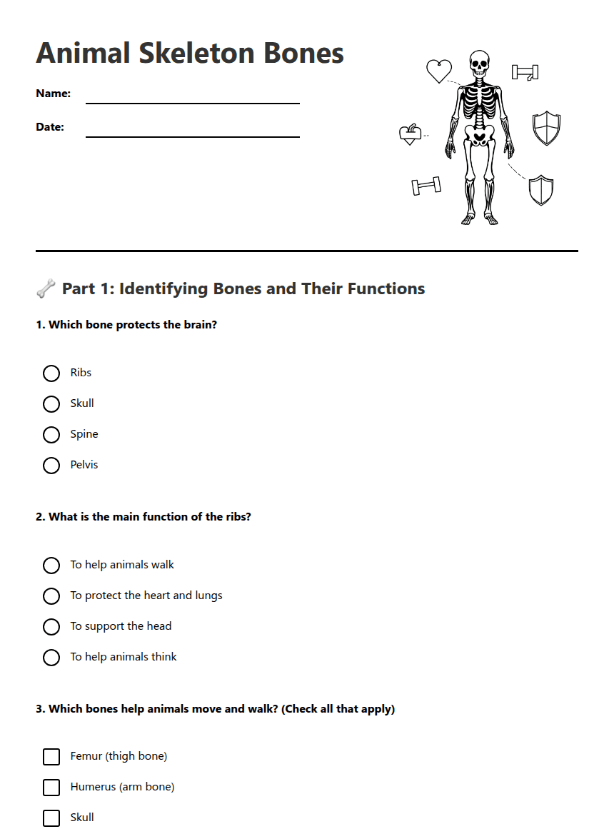Animal Skeleton Bones worksheet preview