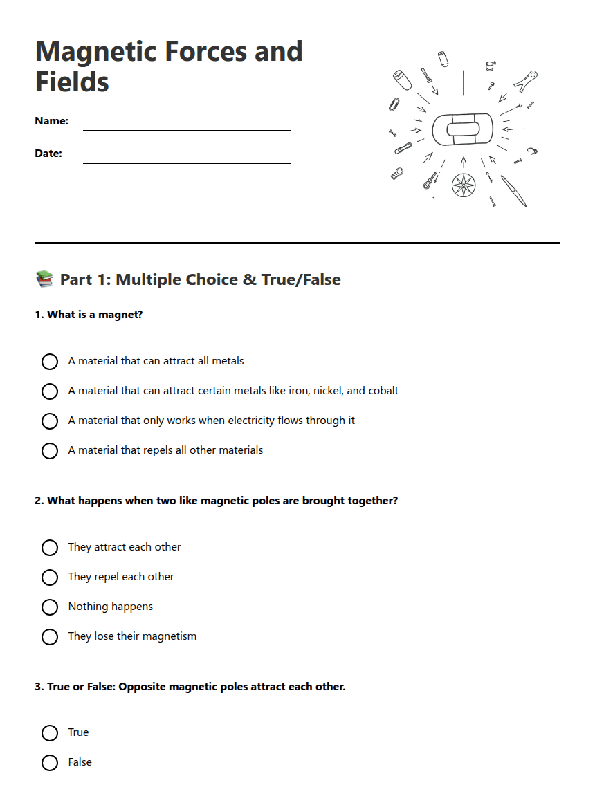 Magnetic Forces and Fields worksheet preview