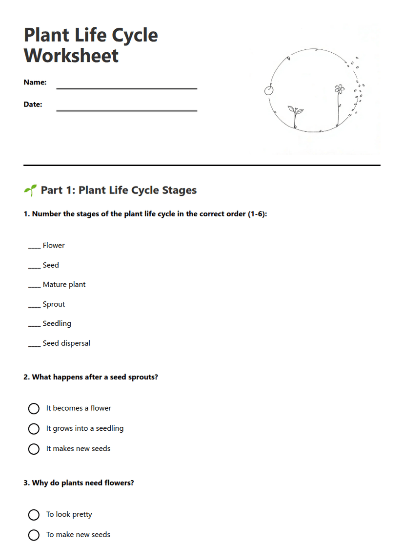 Plant Life Cycle Worksheet