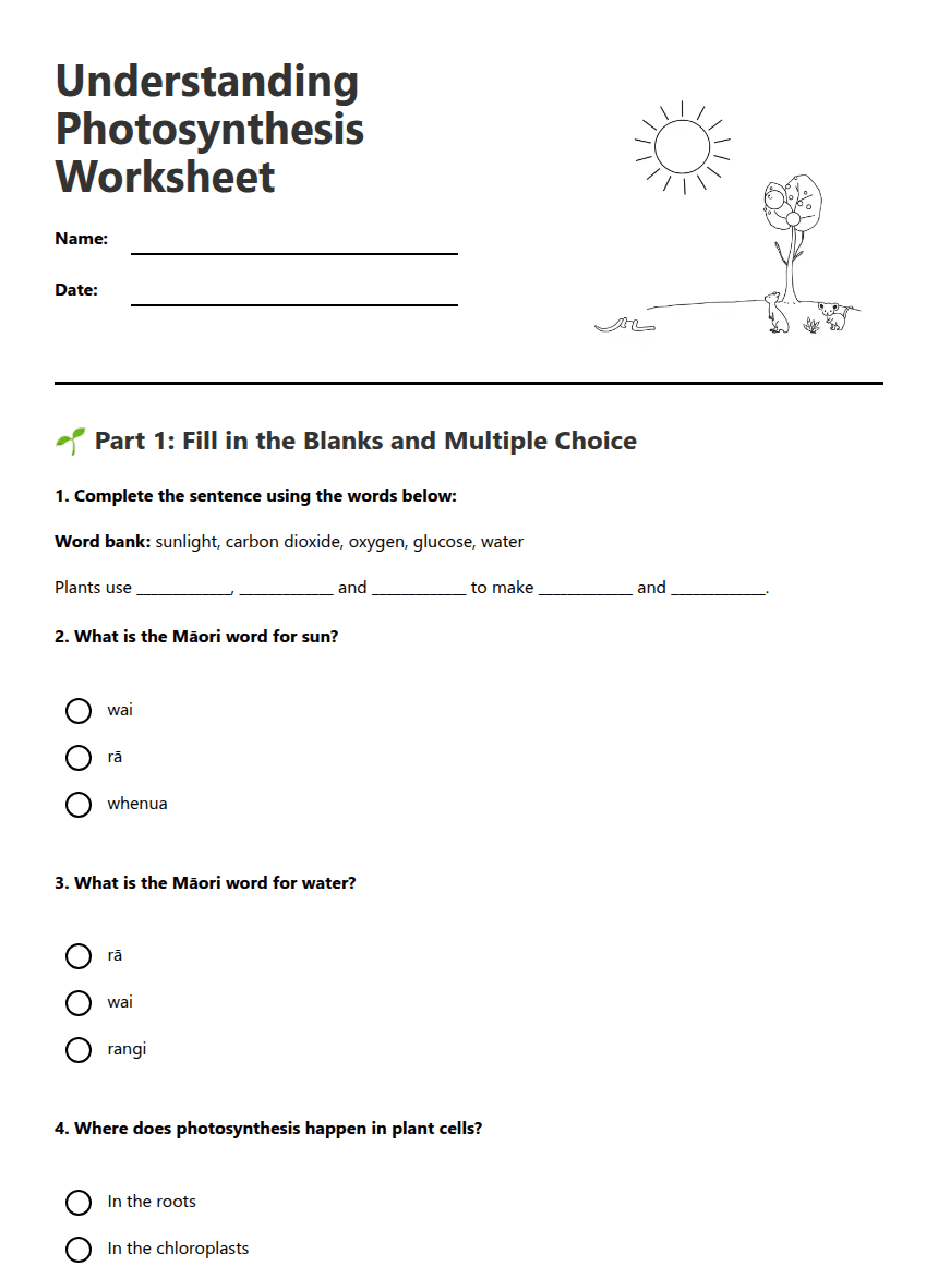 Understanding Photosynthesis Worksheet worksheet preview