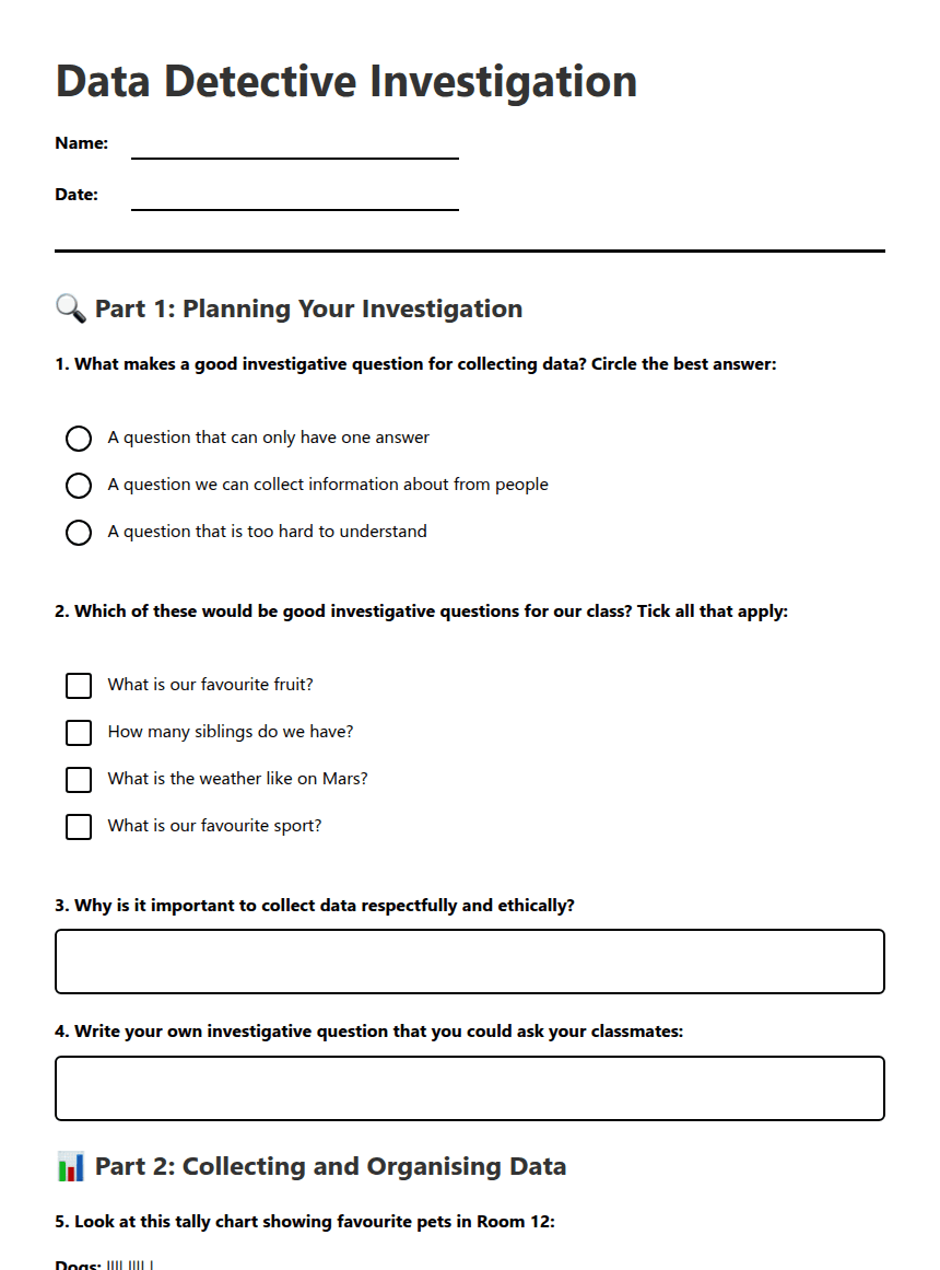 Data Detective Investigation worksheet preview