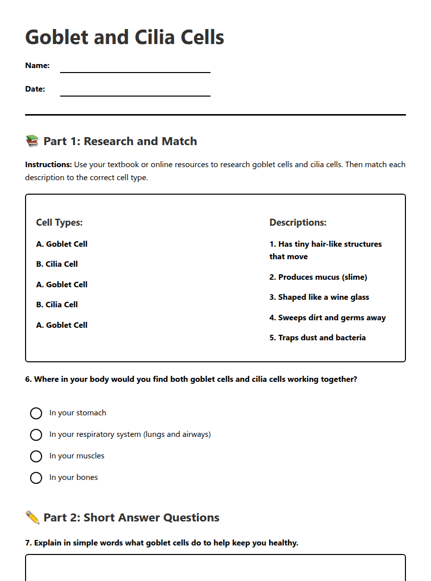Goblet and Cilia Cells worksheet preview