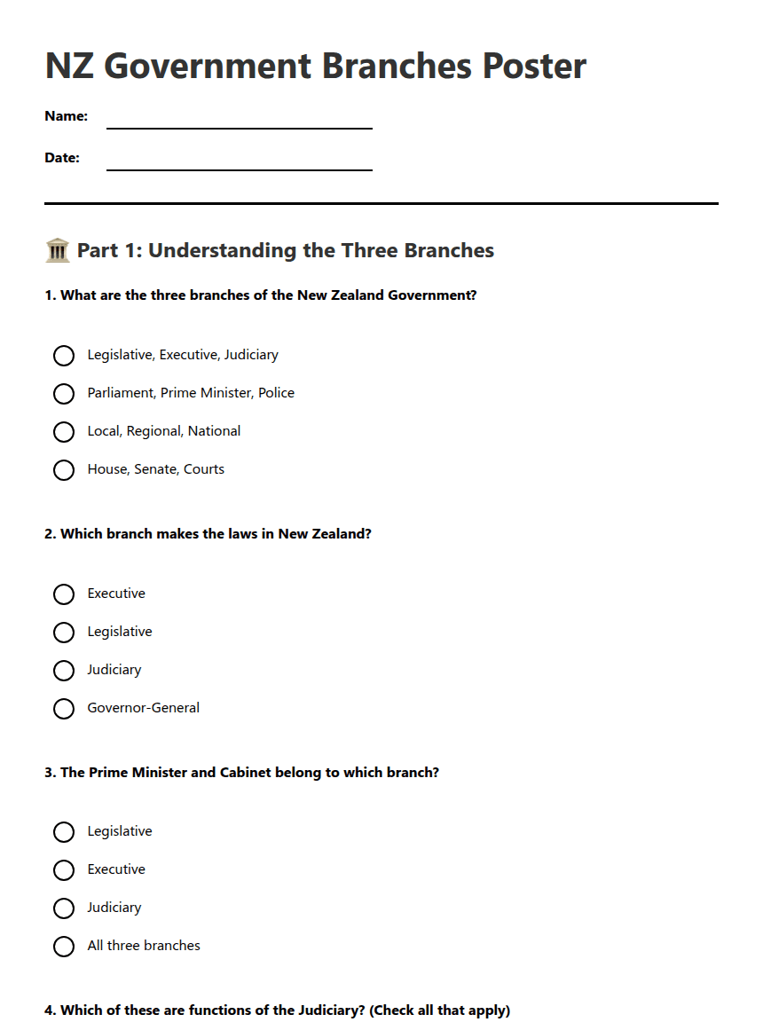 NZ Government Branches Poster worksheet preview