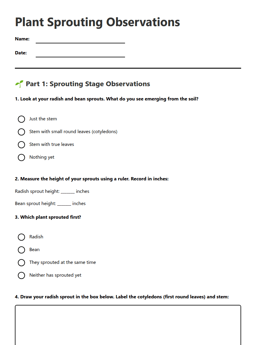 Plant Sprouting Observations worksheet preview
