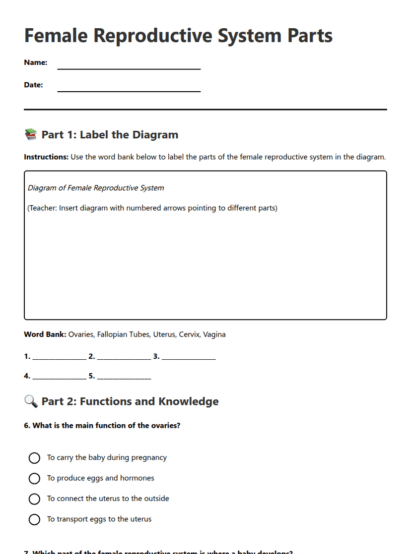 Female Reproductive System Parts