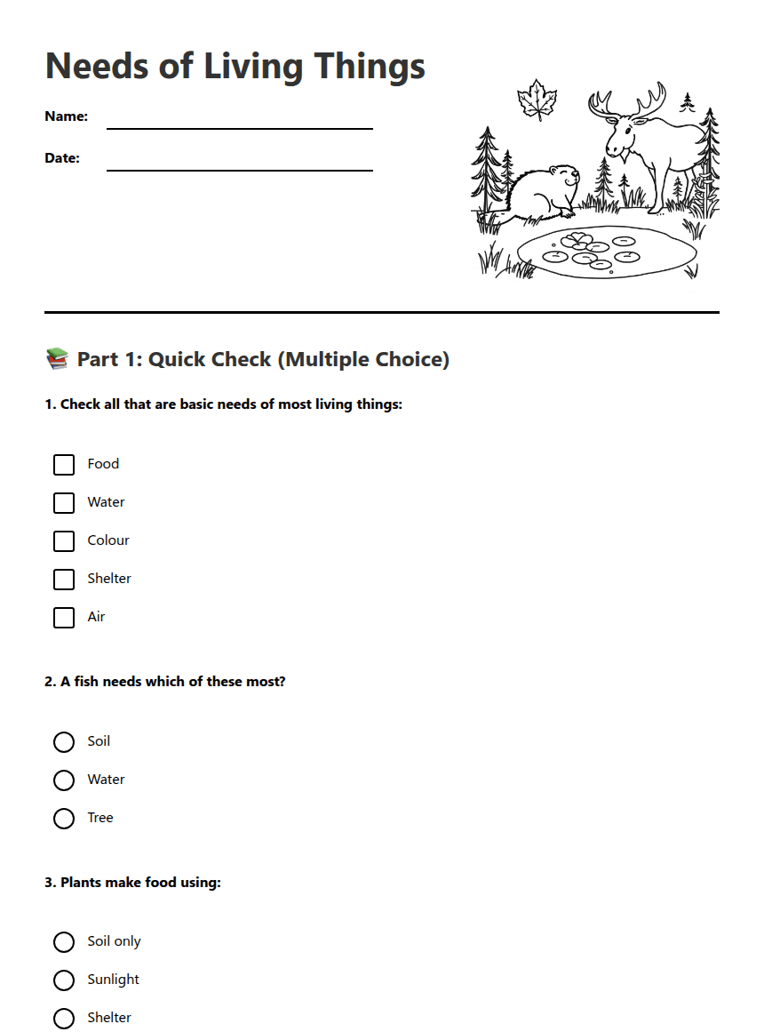 Needs of Living Things worksheet preview