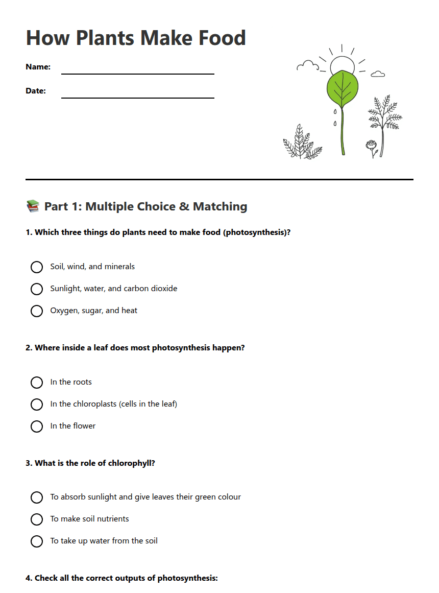 How Plants Make Food worksheet preview