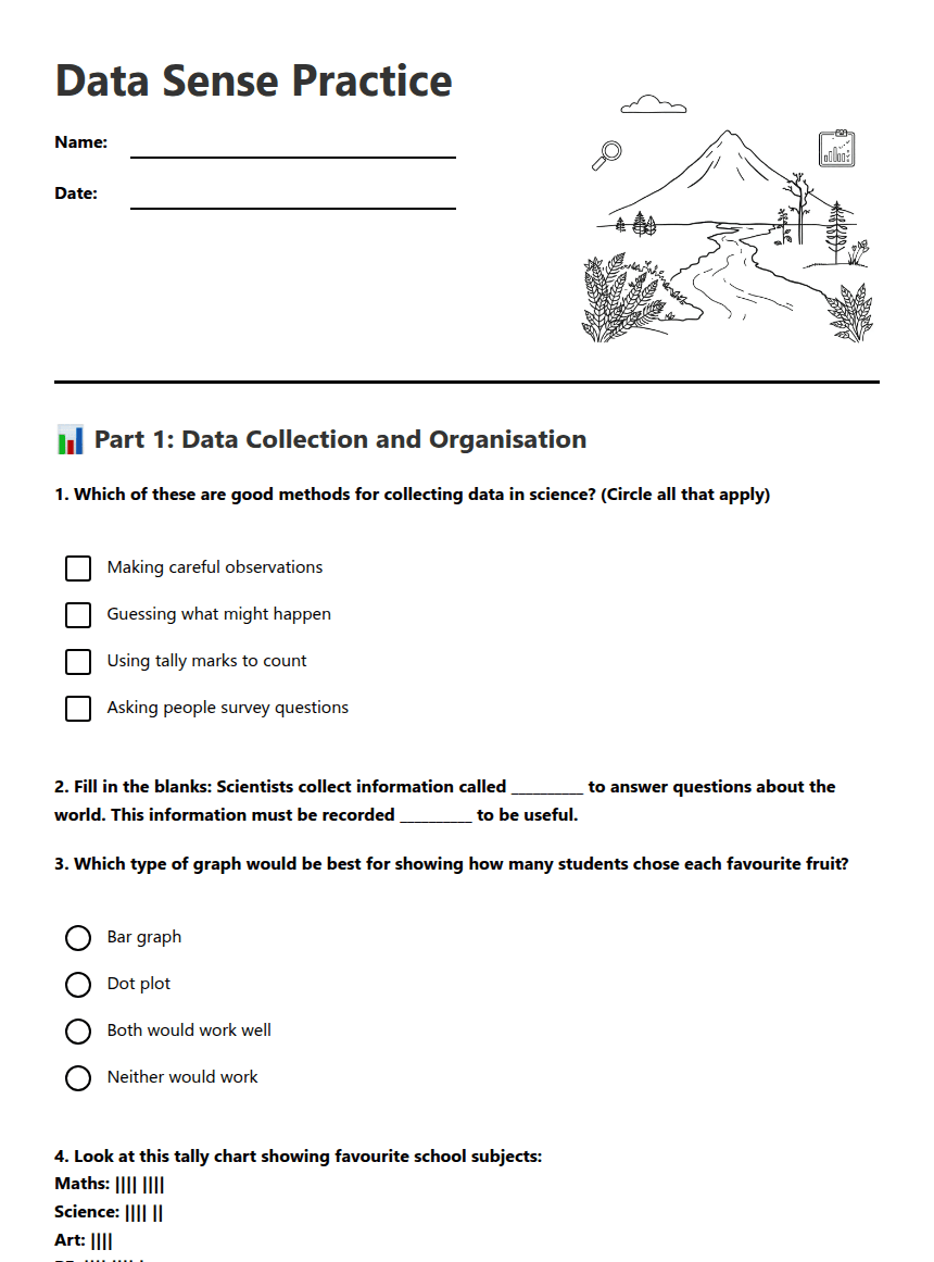 Data Sense Practice worksheet preview