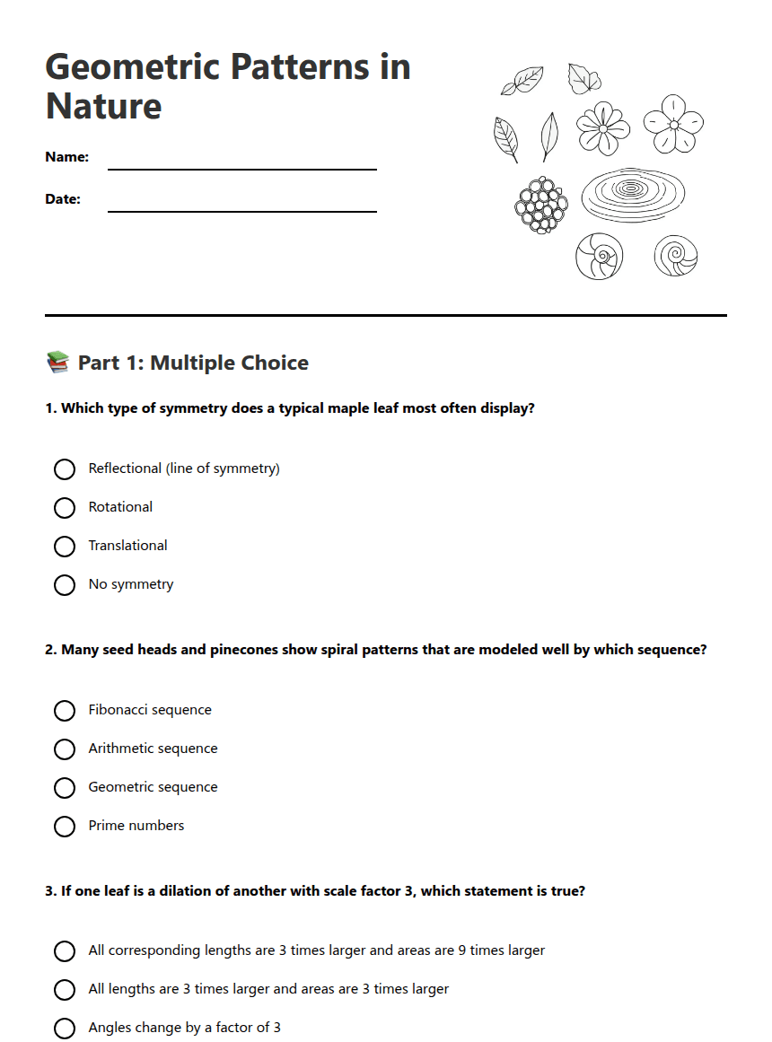 Geometric Patterns in Nature worksheet preview