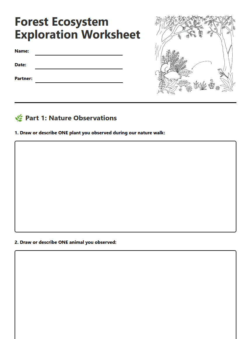 Forest Ecosystem Exploration Worksheet worksheet preview