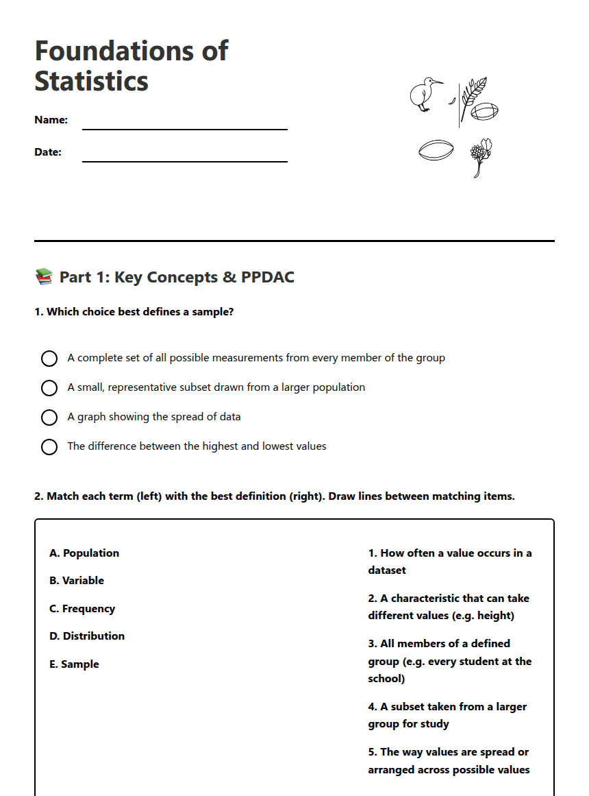 Foundations of Statistics worksheet preview
