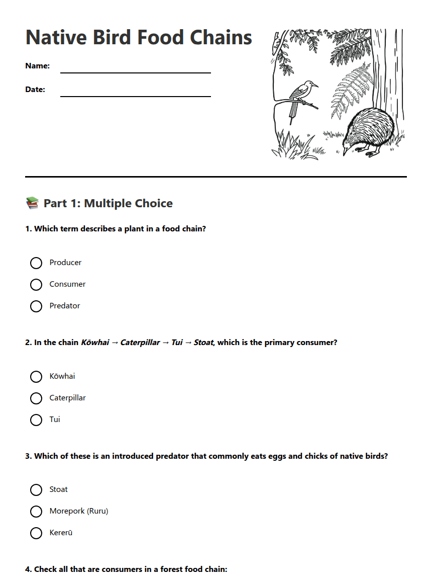 Native Bird Food Chains worksheet preview