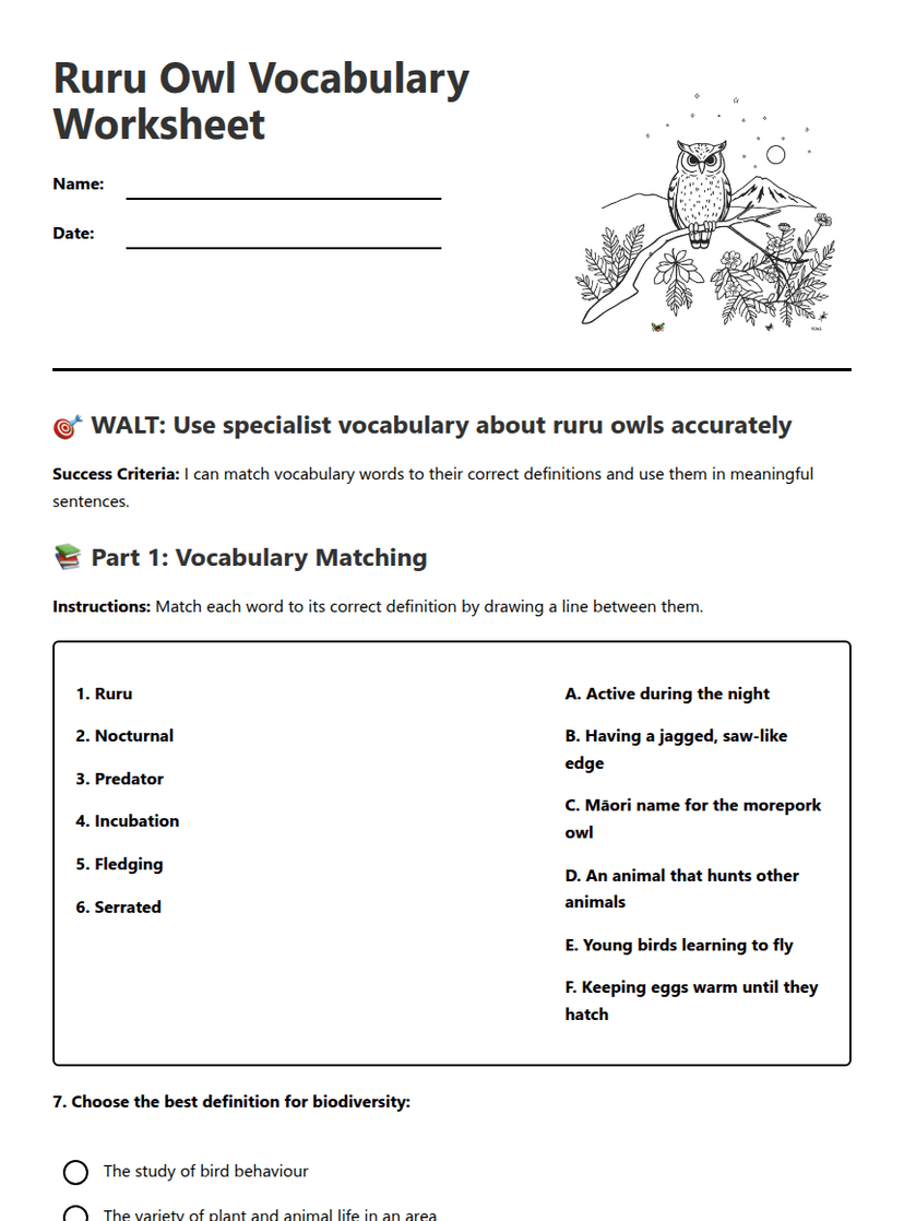 Ruru Owl Vocabulary Worksheet