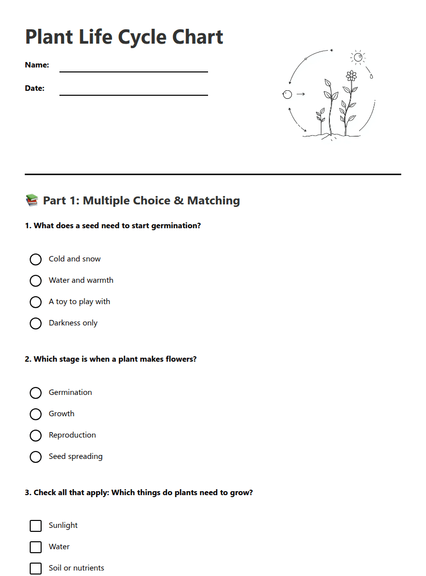 Plant Life Cycle Chart worksheet preview